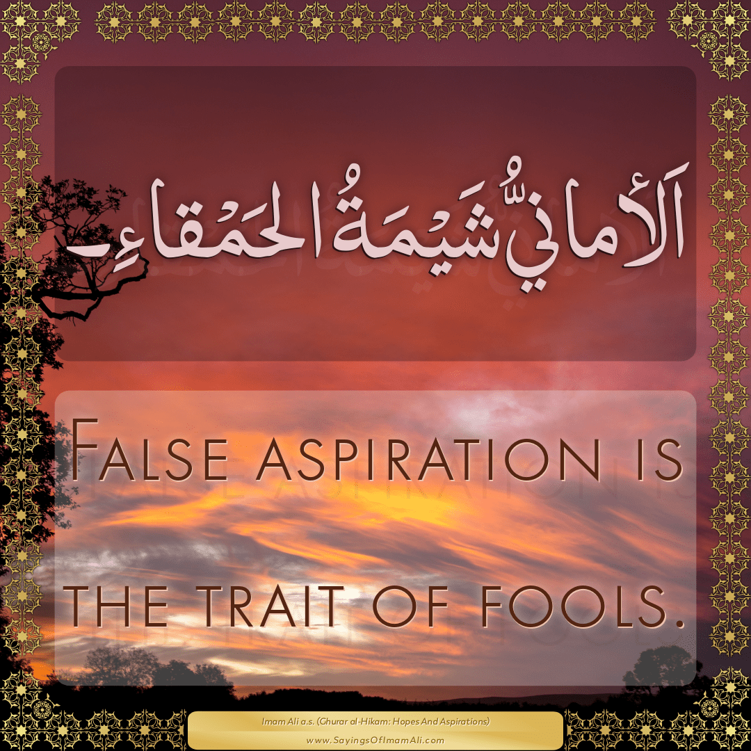 False aspiration is the trait of fools.